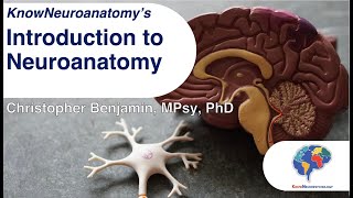 Introduction to Neuroanatomy [upl. by Amal]