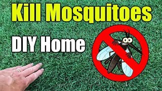 Mosquito Control Home and Yard Spraying [upl. by Ettennyl]